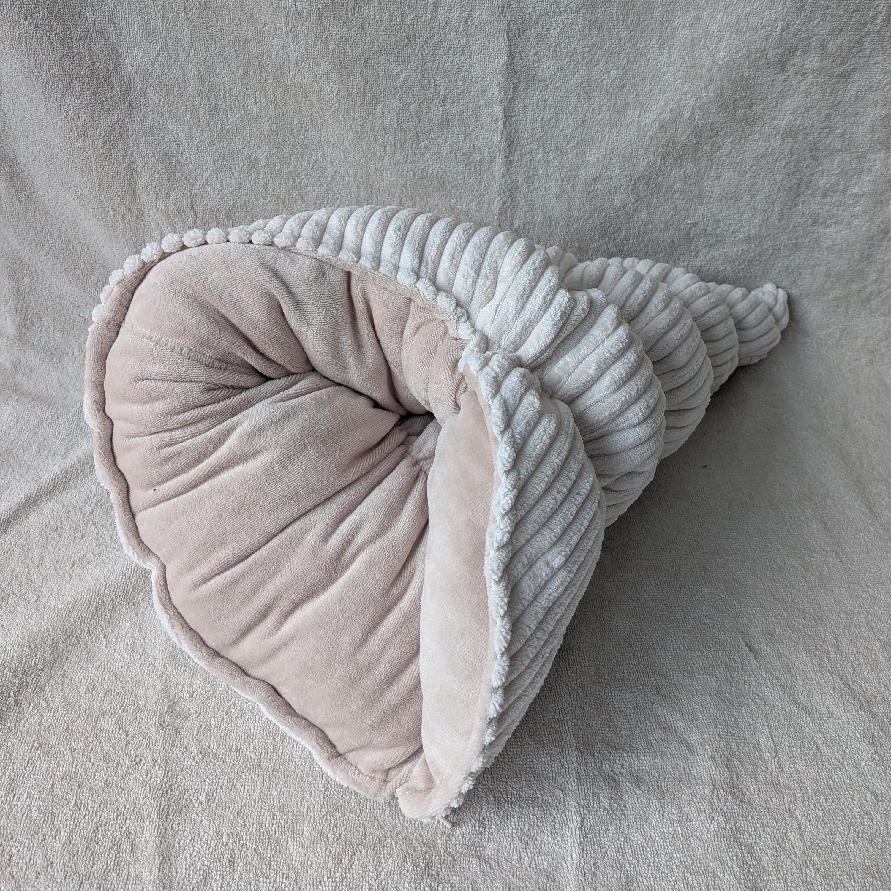 BERNIE S côtelé écru + velours beige