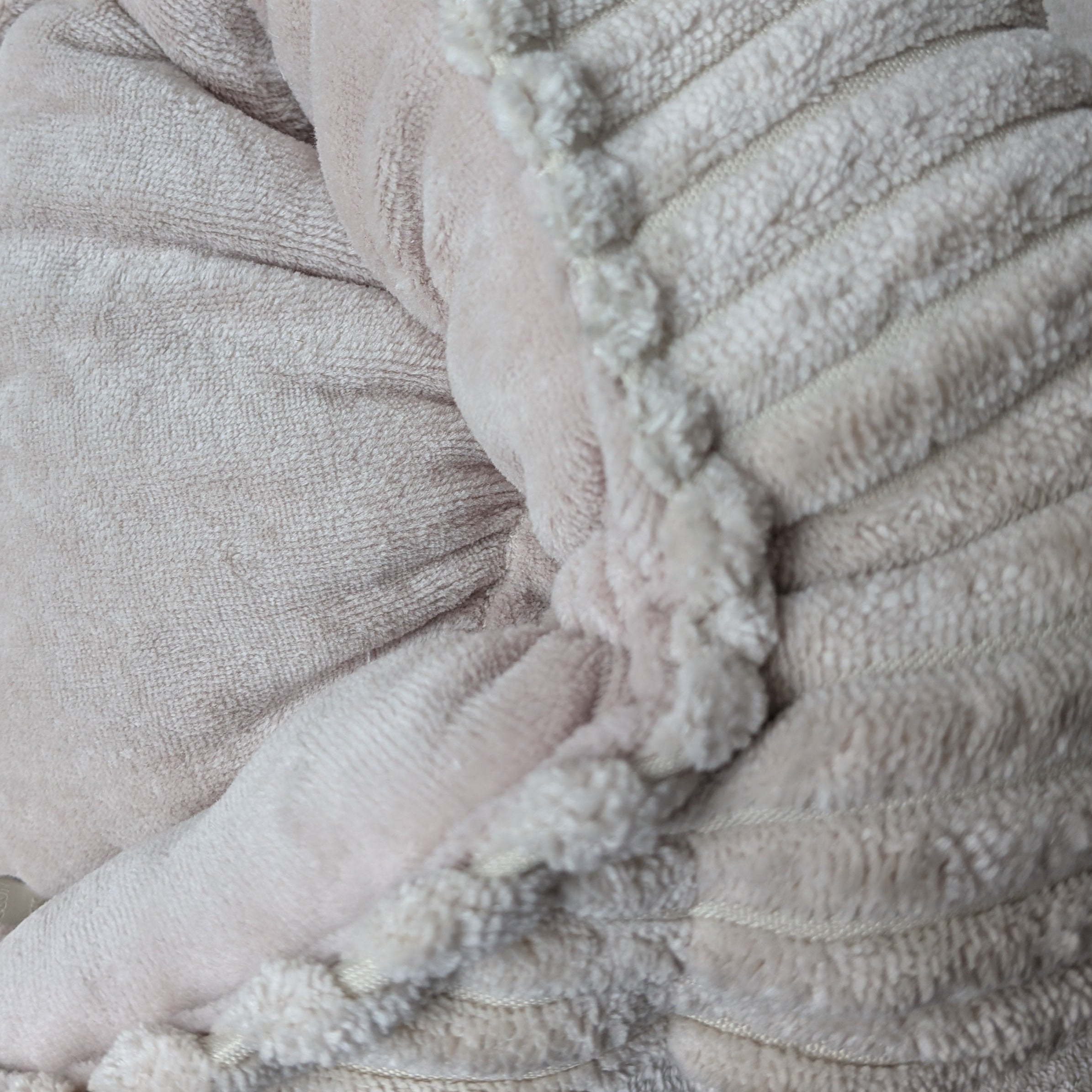 BERNIE XS côtelé Beige +velours Beige