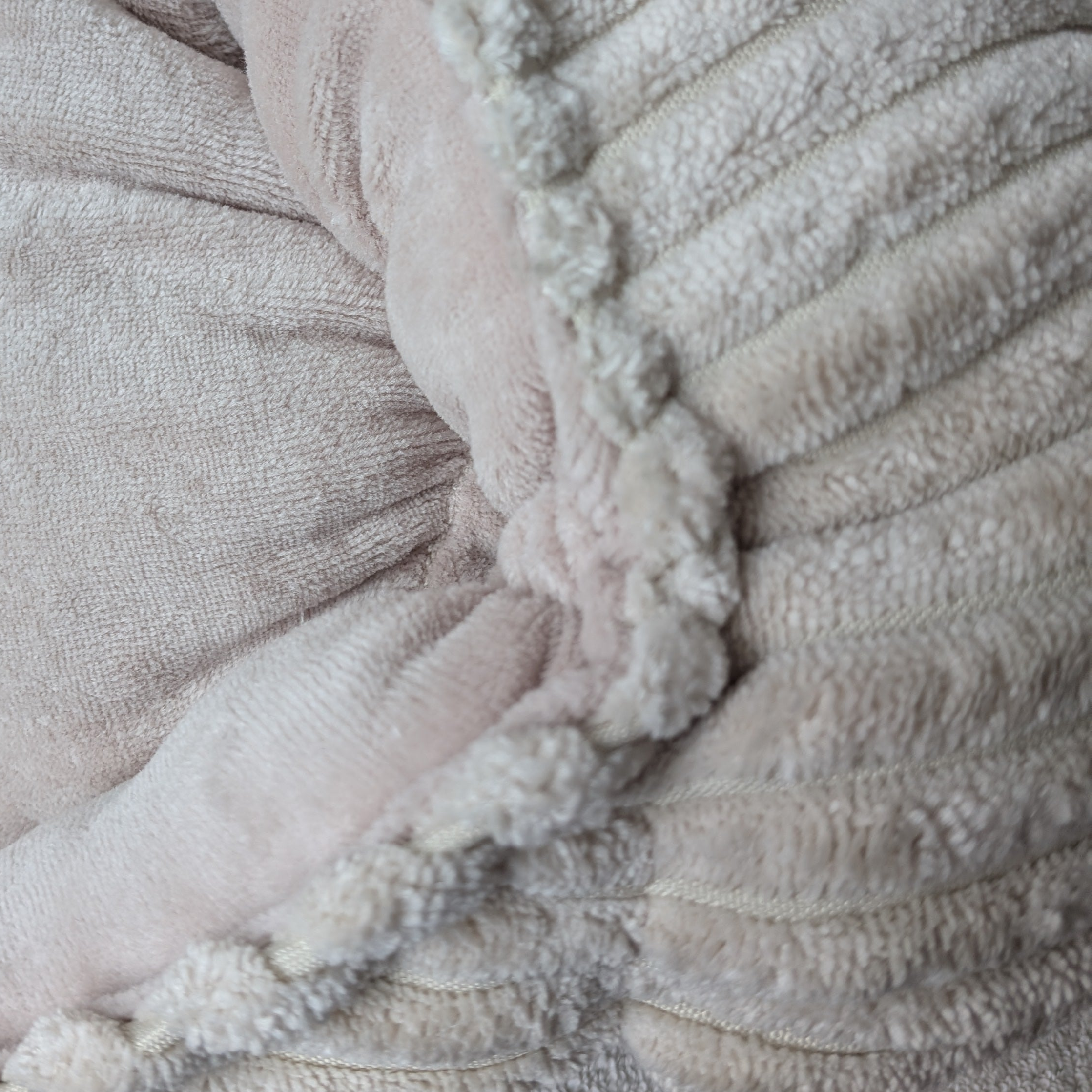 BERNIE S côtelé beige + velours beige