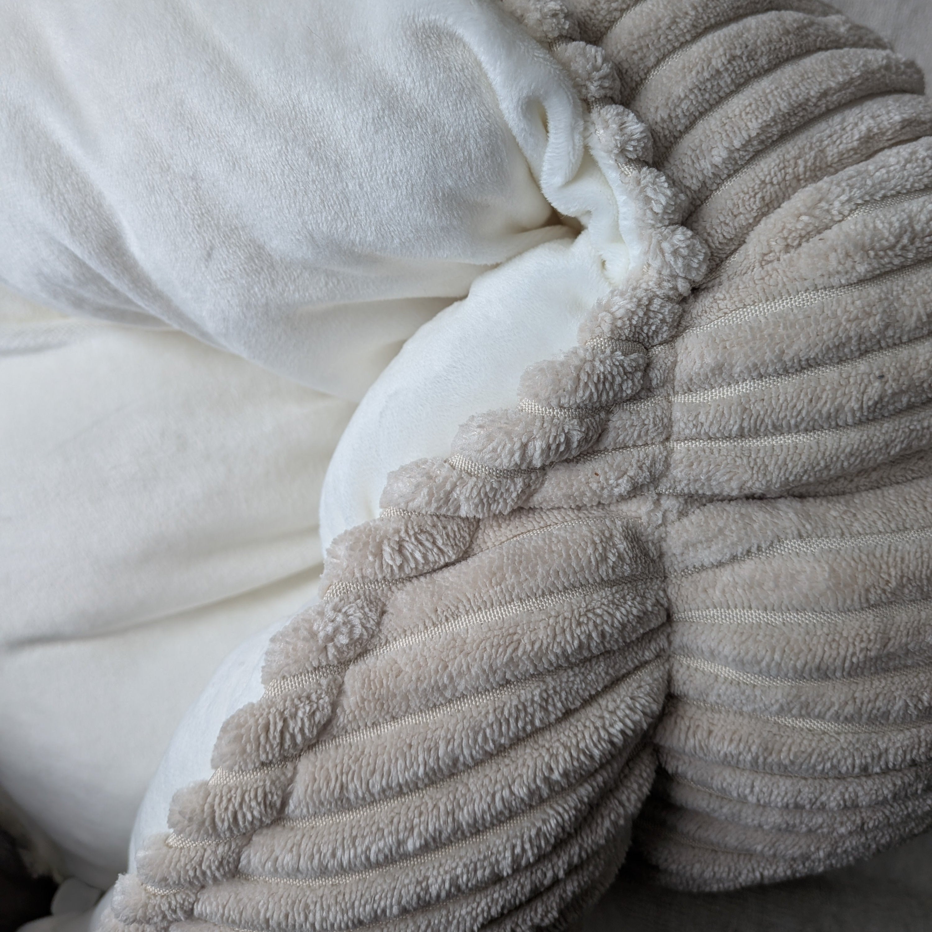 BERNIE S coussin /  côtelé+velours